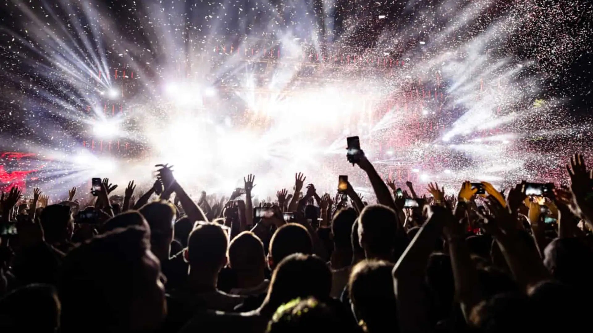 Exploring the Kratom Culture: Meetups, Festivals, and Community Gatherings | King K Kratom