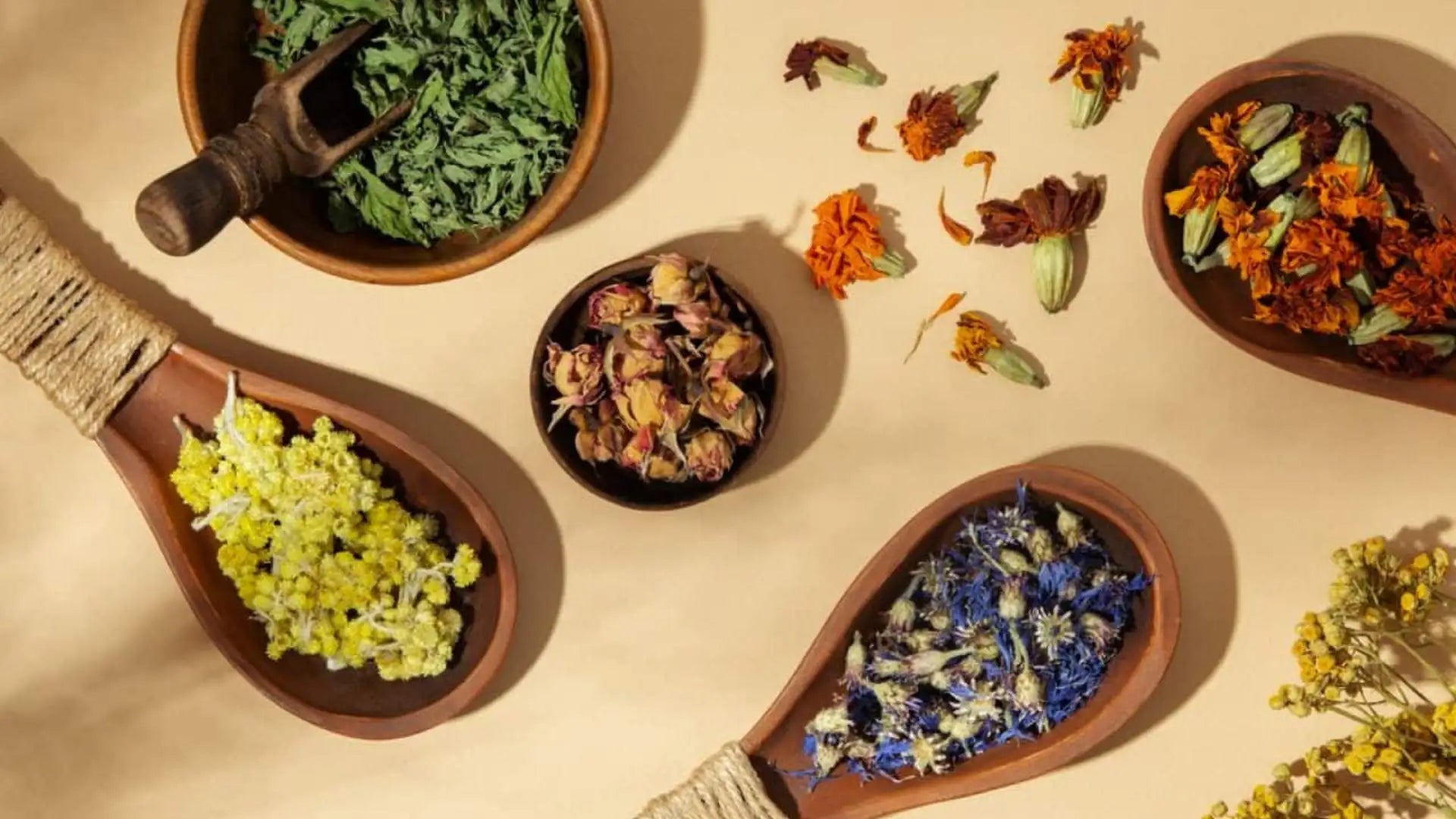 Exploring Herbal Remedies: The Global Tradition of Plant-Based Healing | King K Kratom