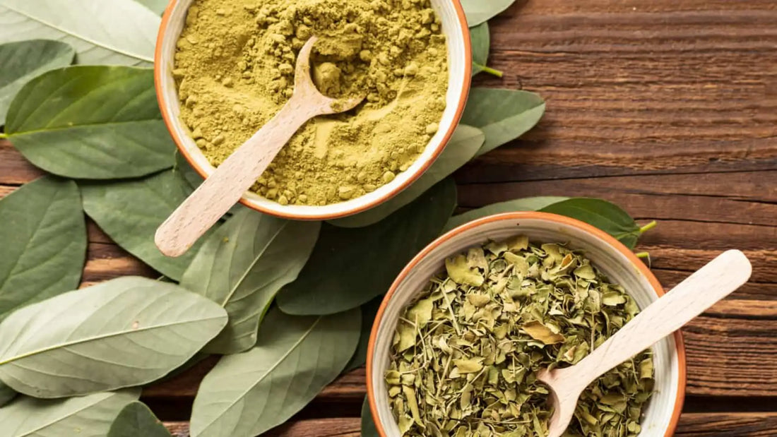 Discover the Potent Power of King Kratom Extract Powder Concentrate