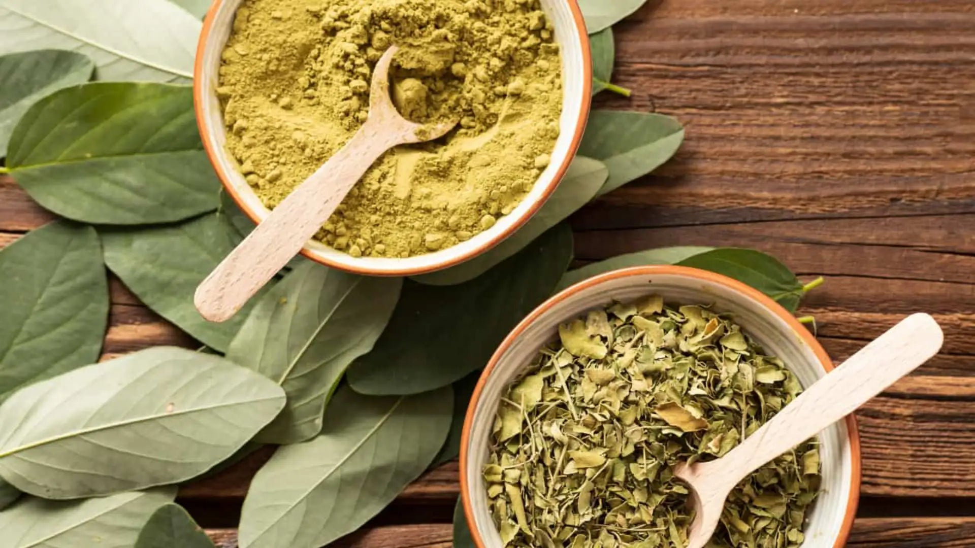 Discover the Potent Power of King Kratom Extract Powder Concentrate