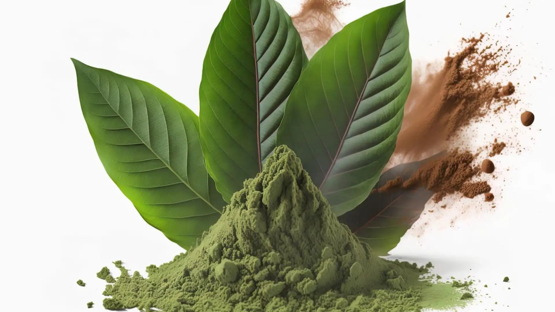Experience the Best with Premium Kratom: Benefits and Insights | King K Kratom