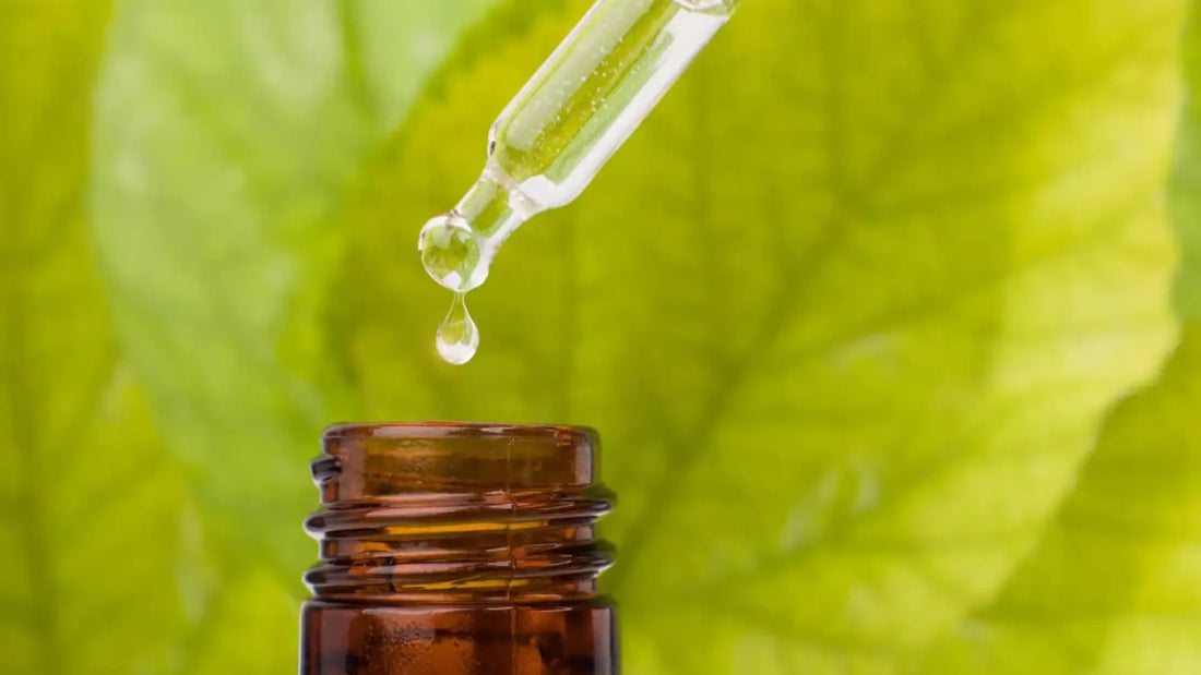 Maximize Your Life with Premium Kratom Extract | King K Kratom