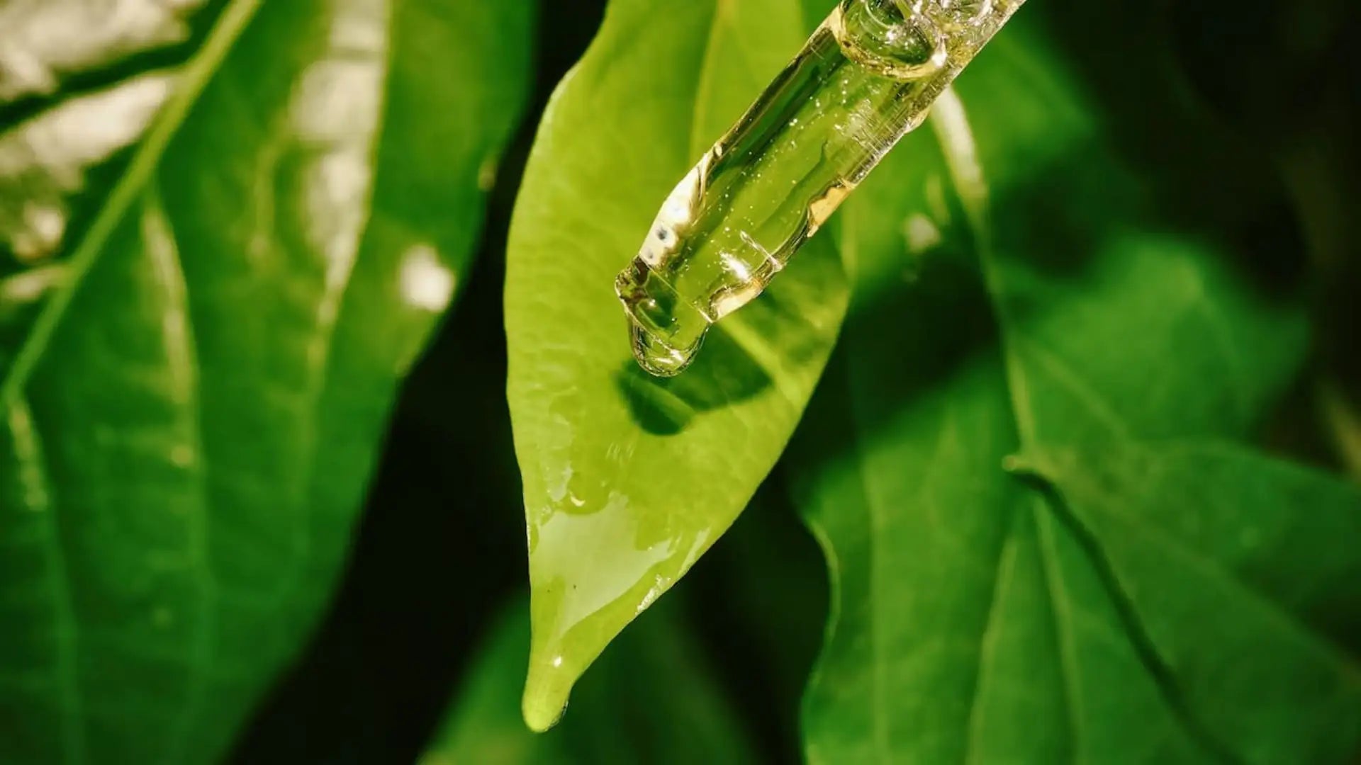 Why Enhanced Kratom is a Game-Changer for Health | King K Kratom