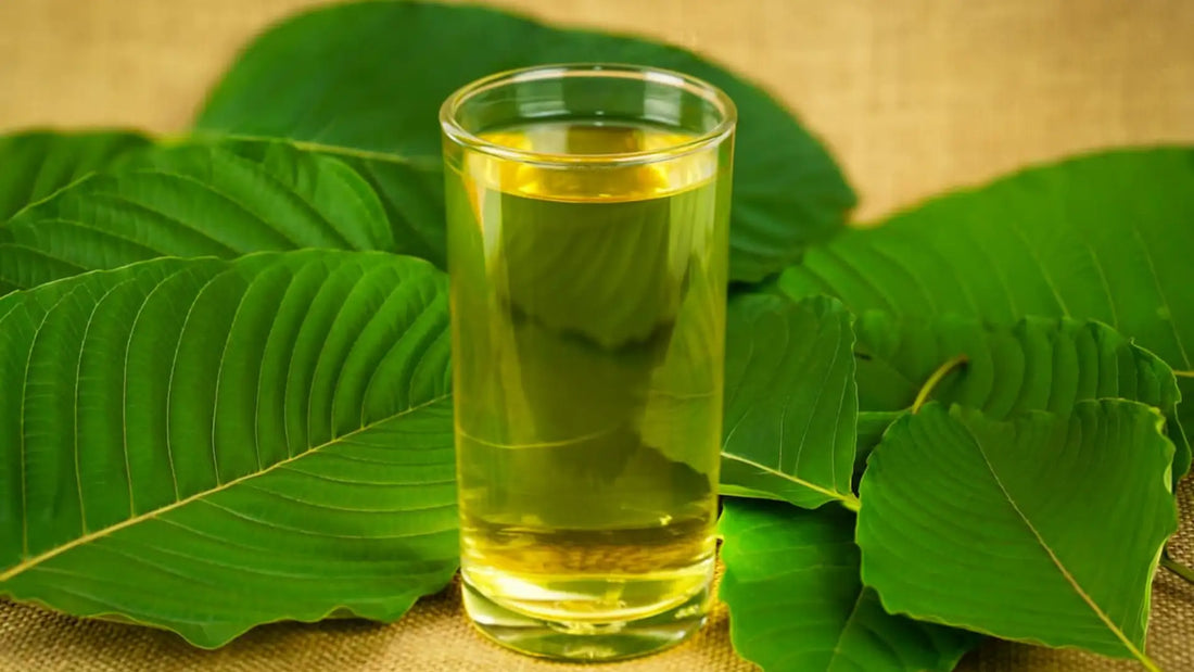 Discover the Refreshing World of Kratom Tea | King K Kratom