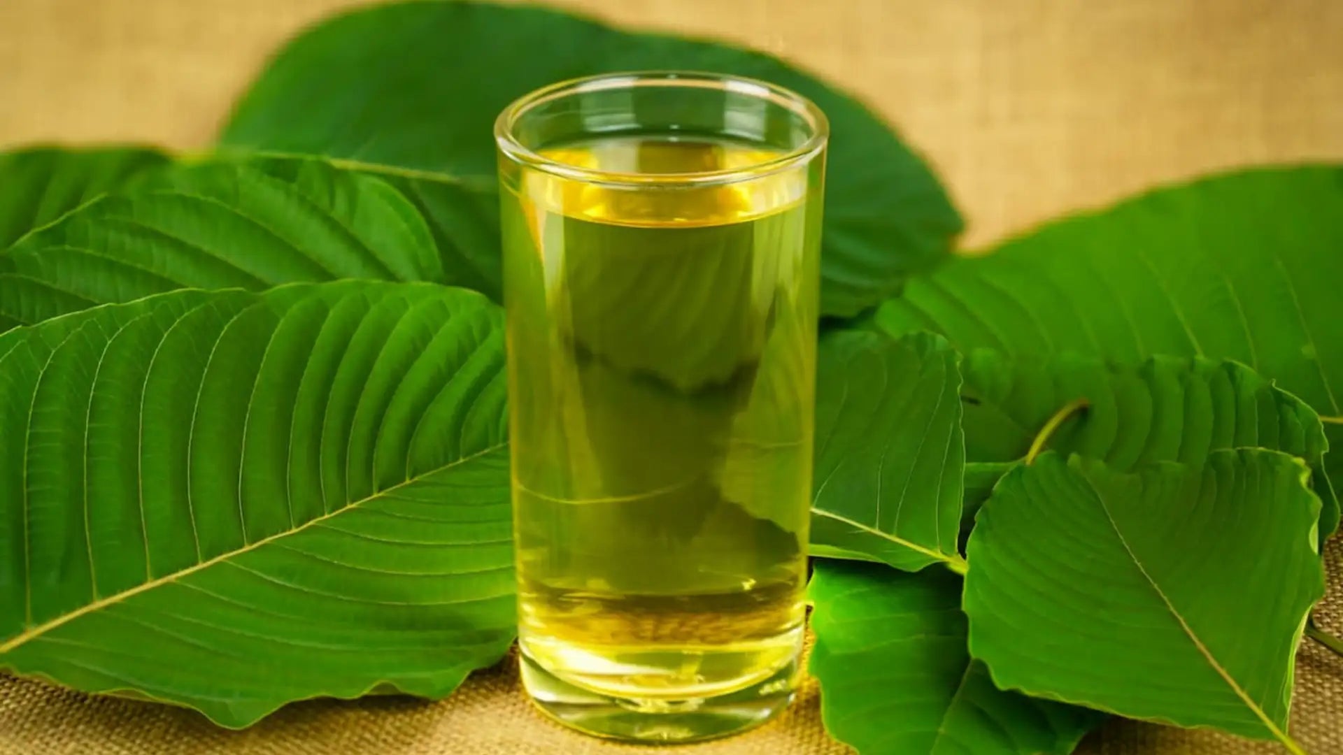 Discover the Refreshing World of Kratom Tea | King K Kratom