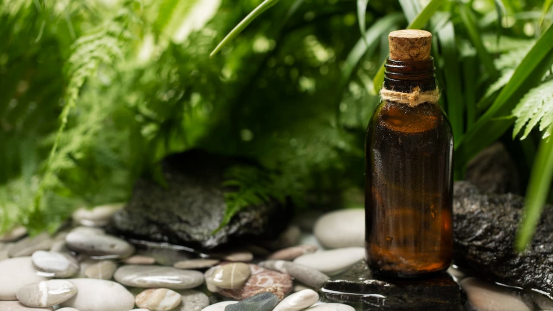 Liquid Kratom: A Potent Revolution in Wellness