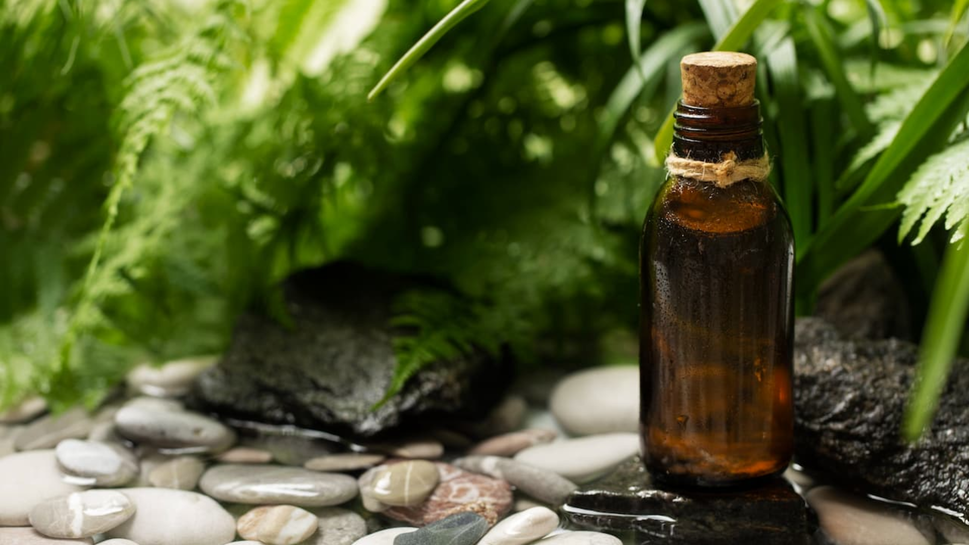 Liquid Kratom: A Potent Revolution in Wellness