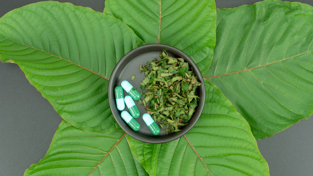 Kratom Capsules: Convenience Meets Natural Wellness