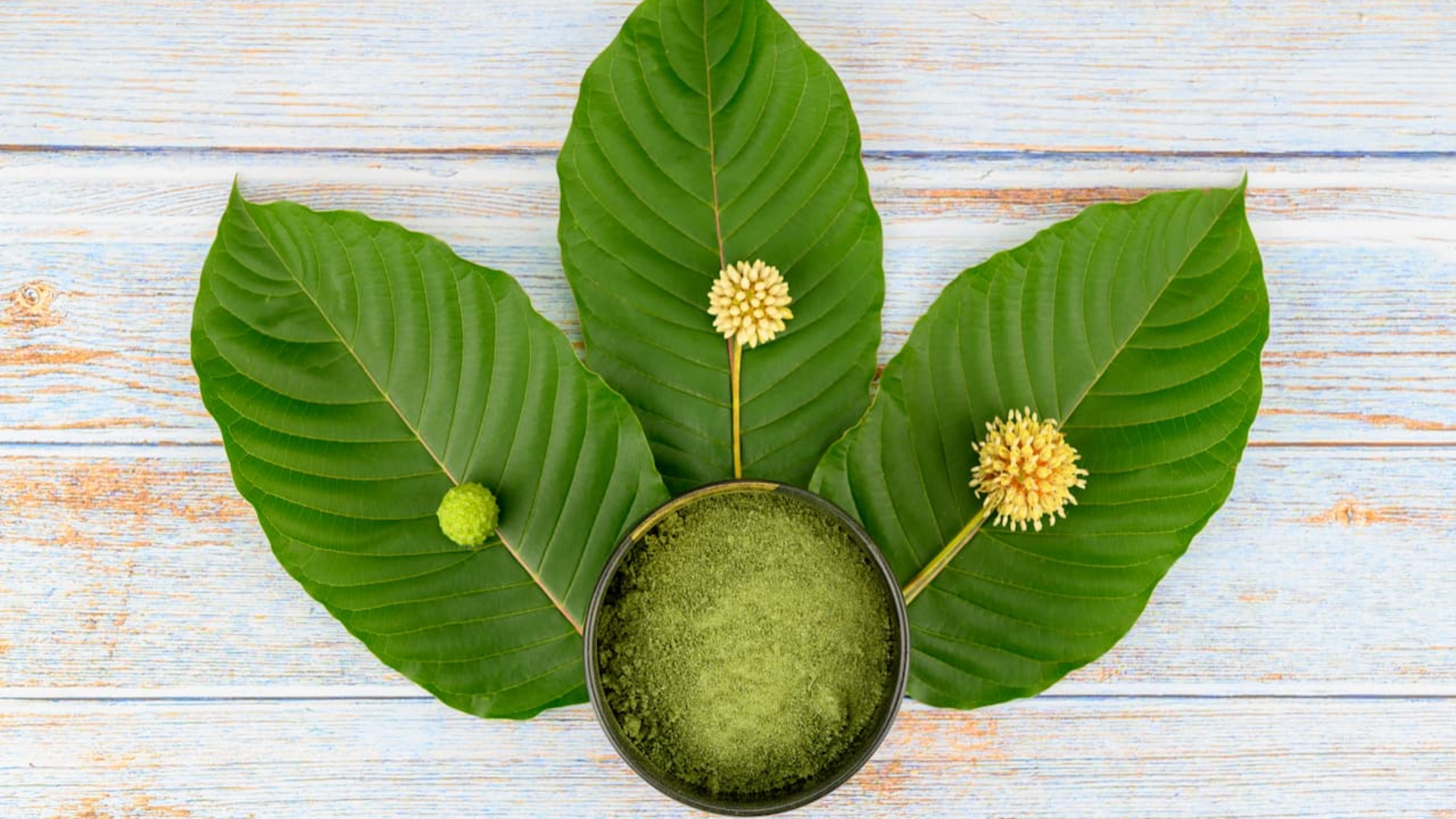 Pure Kratom: Your Path to Natural Wellness