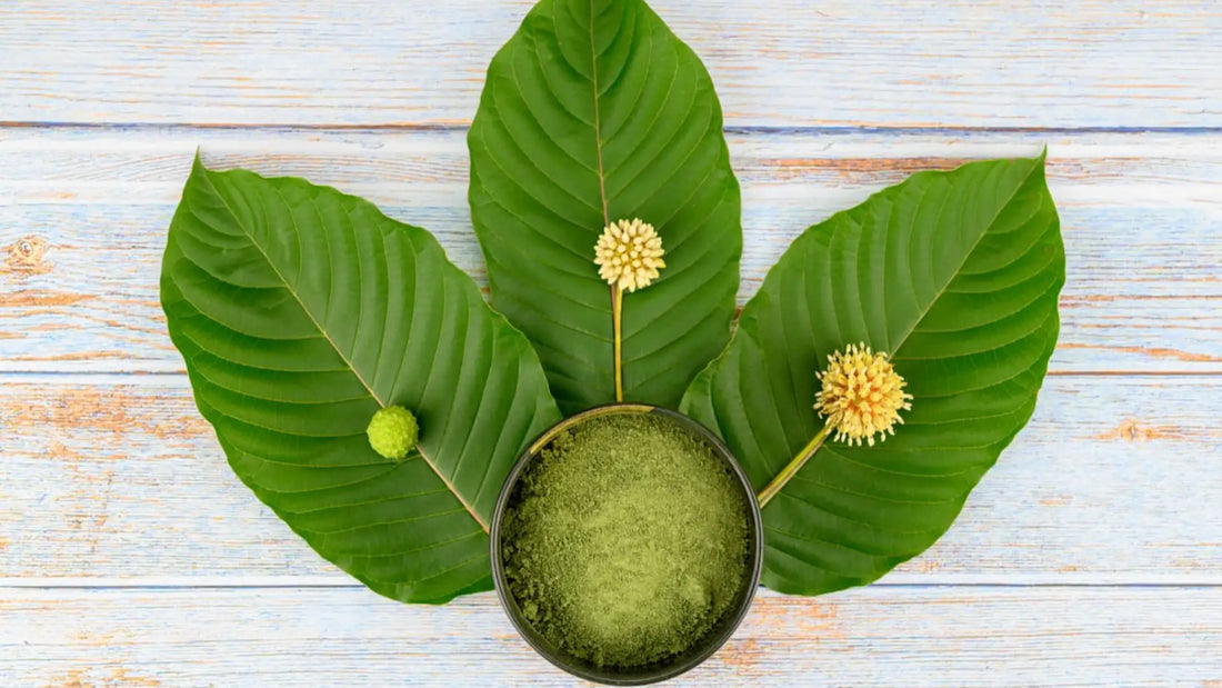Pure Kratom: Your Path to Natural Wellness | King K Kratom