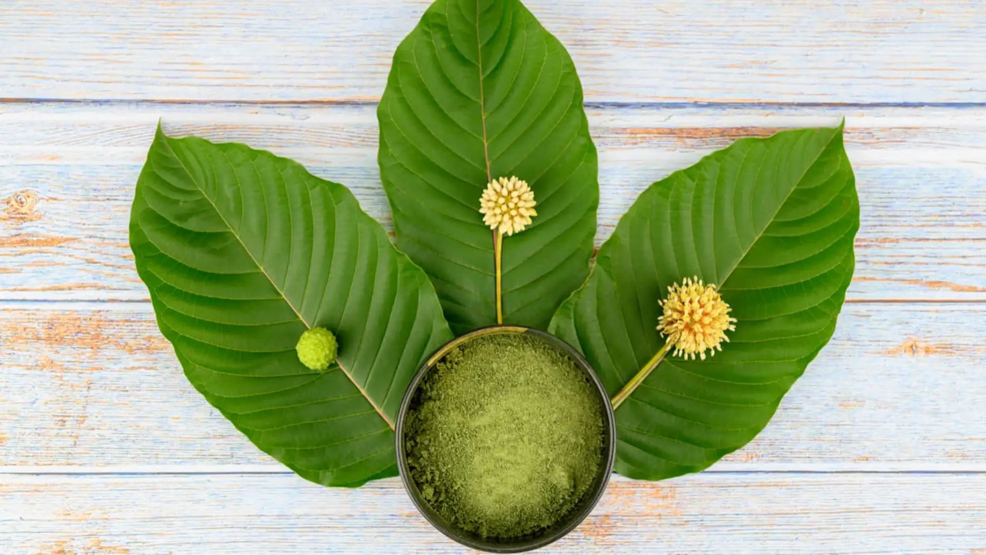 Pure Kratom: Your Path to Natural Wellness | King K Kratom