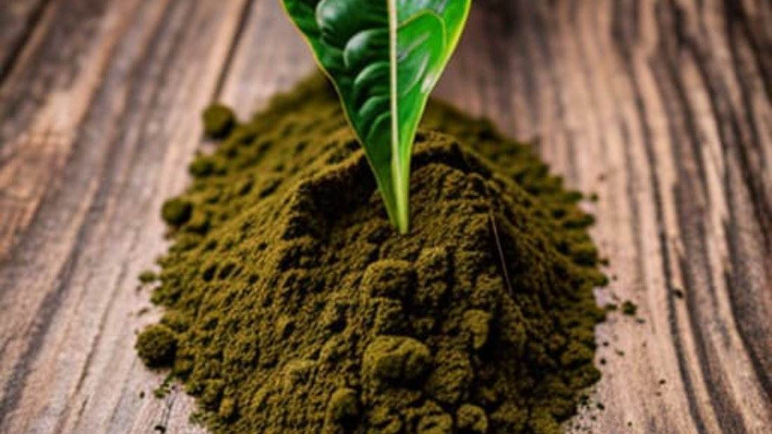 The Popularity of Kratom Extract