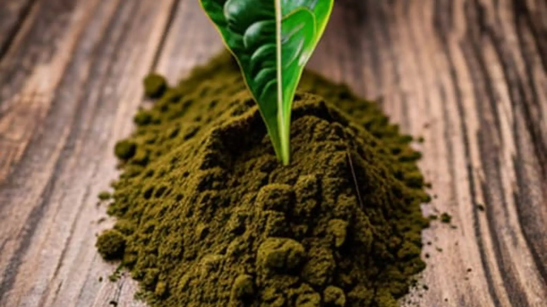 The Popularity of Kratom Extract | King K Kratom