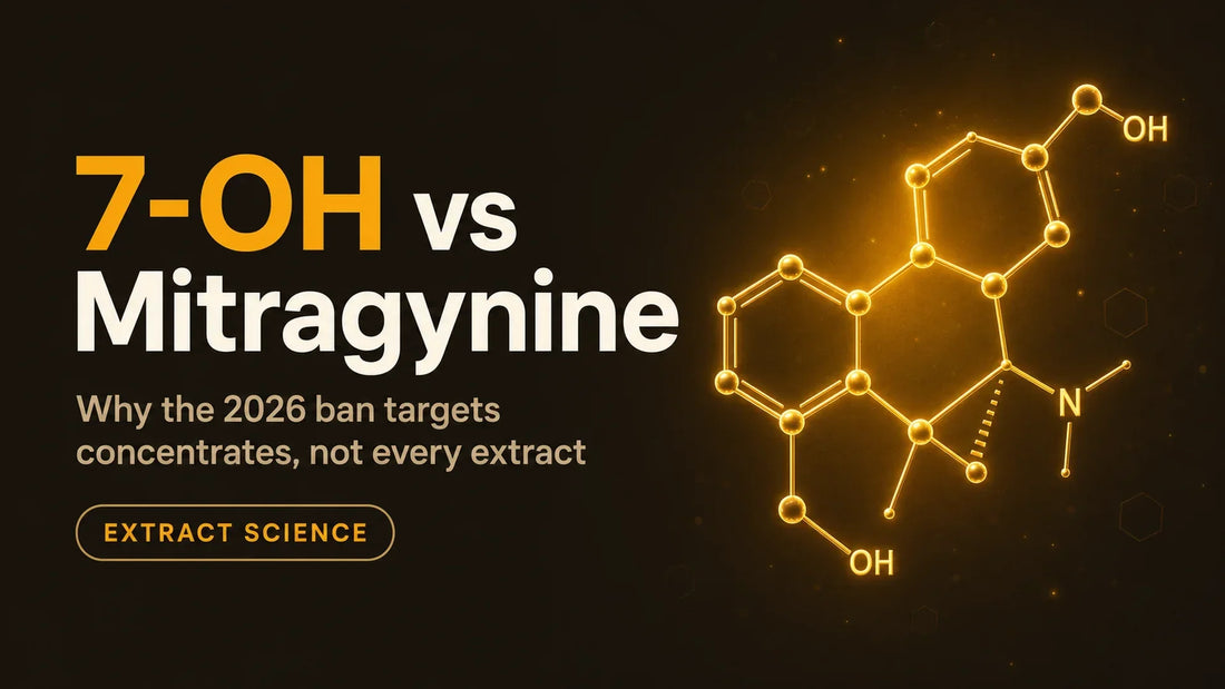 7-OH vs Mitragynine blog header from King K, with a glowing molecular structure and the subtitle why the 2026 ban targets concentrates, not every extract