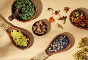 Thumbnail Picture of Herbal Medicine Around the World Nature's Cure for Every Ailment by King K Kratom