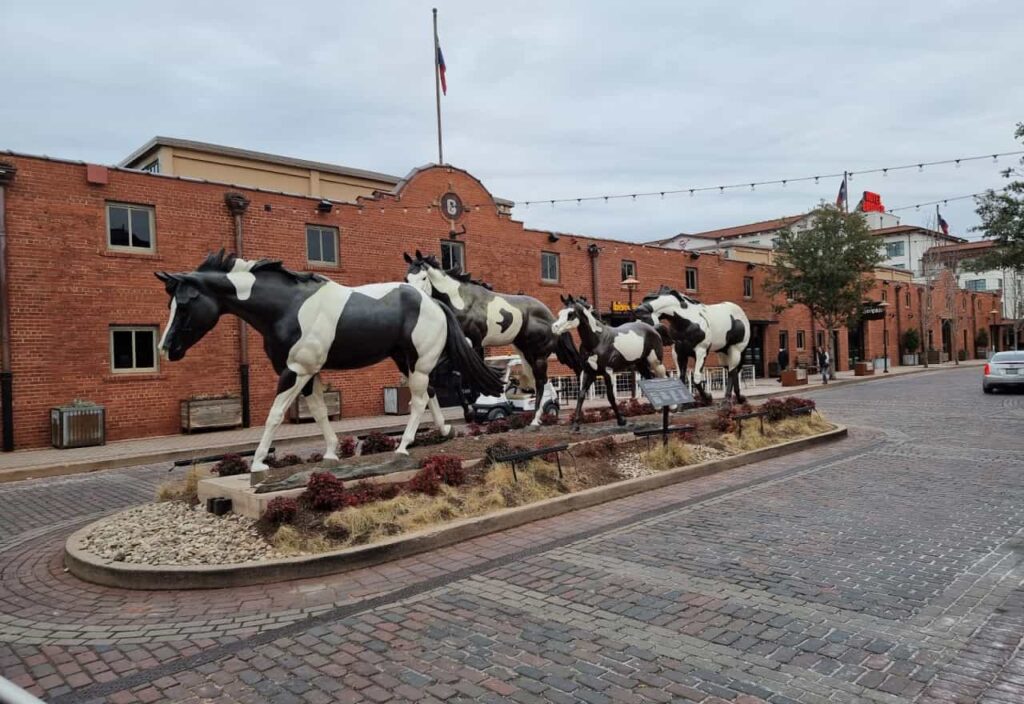 Picture of Culture of Fort Worth by King K Kratom