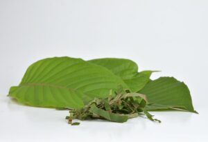 Thumbnail-For-Premium-Kratom-Leaves-By-King-K. Kratom