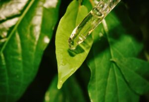 Thumbnail-for-Enhanced-Kratom-Leaf-Extract-Drop-By-King K. Kratom
