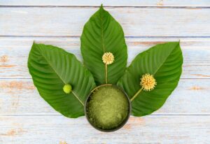 Thumbnail-for-Pure-Kratom-Powder-Over-Leaves-By-King K. Kratom