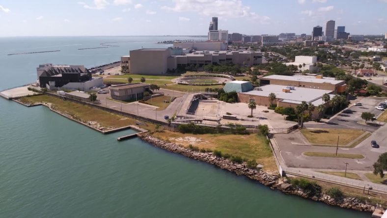 Thumbnail Picture of Corpus Christi by King K Kratom